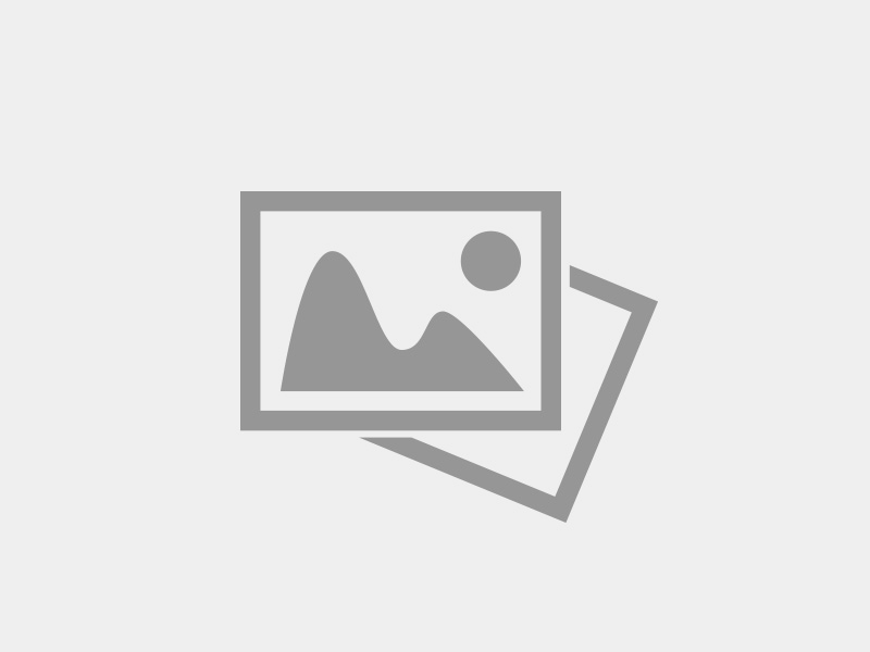 AO VIVO: assista a programação da NSC TV 